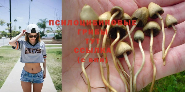 тгк Аркадак