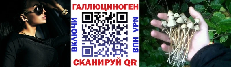 где купить   Тарко-Сале  Псилоцибиновые грибы MAGIC MUSHROOMS 